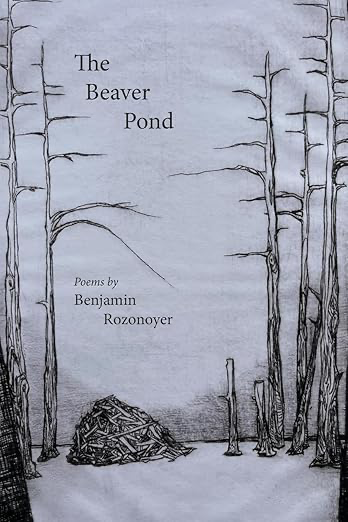 The Beaver Pond by Benjamin Rozonoyer — book cover